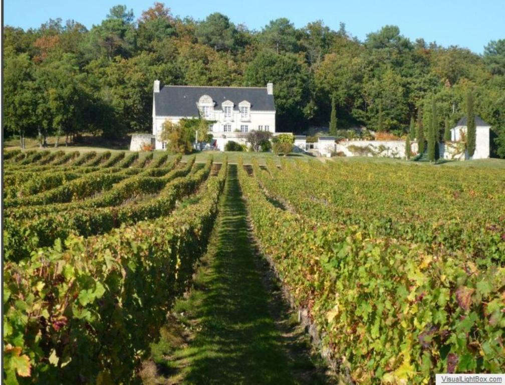 Bed and Breakfast Domaine Beausejour Panzoult Экстерьер фото